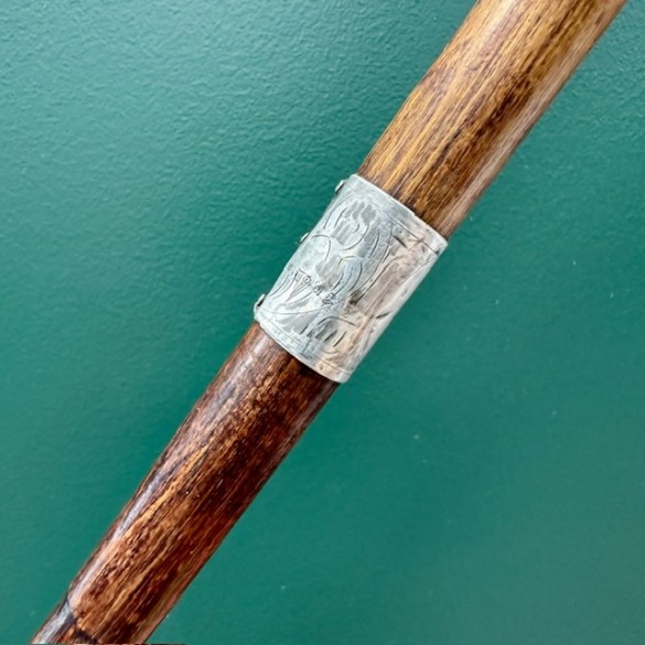 Walking Stick Birm 2